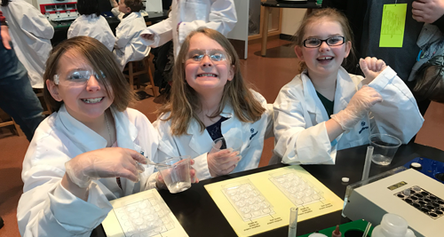 Elementary students working in the stem lab